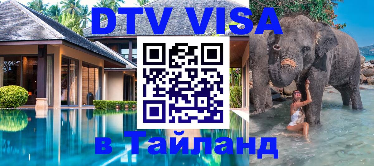 Сколько стоит DTV виза — актуальные цены, оформление даже без документов - Багдад  18.11.2025 